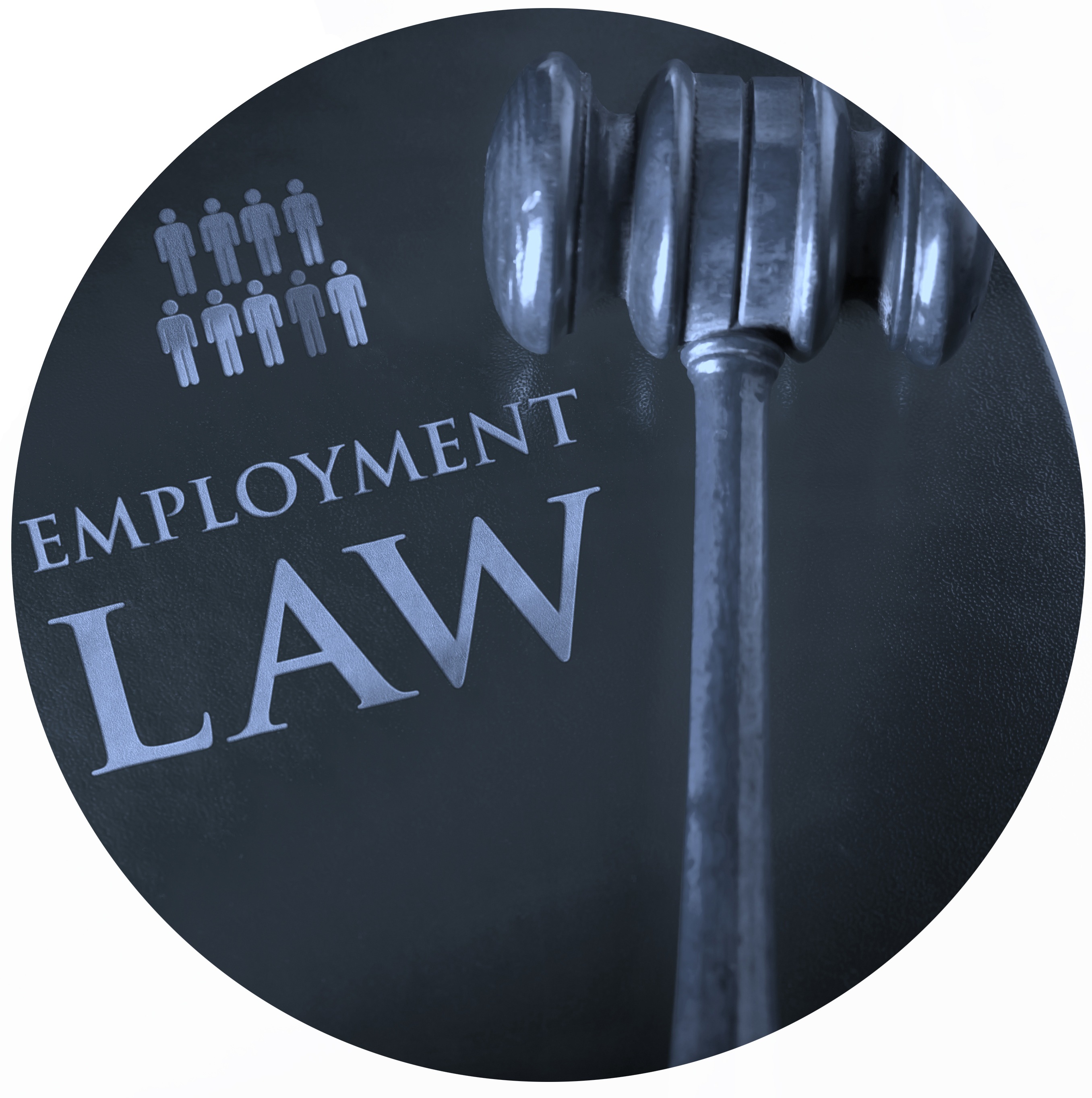 Employee Compensation Case Study - Adelaide Legal