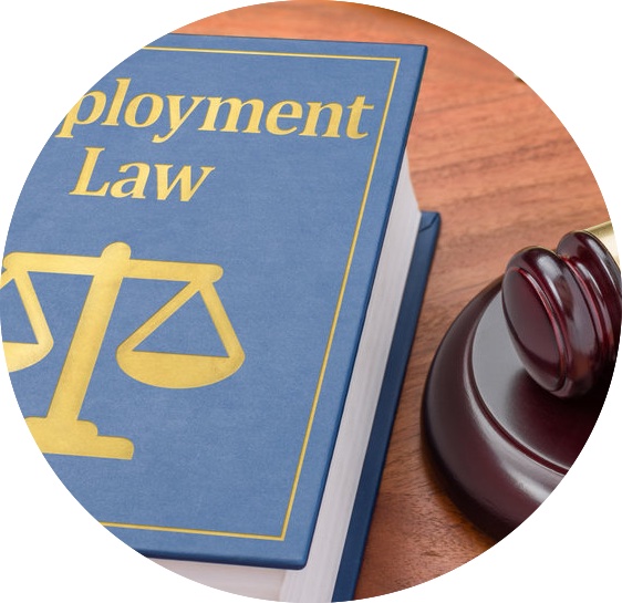 Employment Lawyers Adelaide